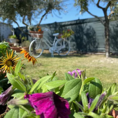 Bed and breakfast Cecilia Cellole