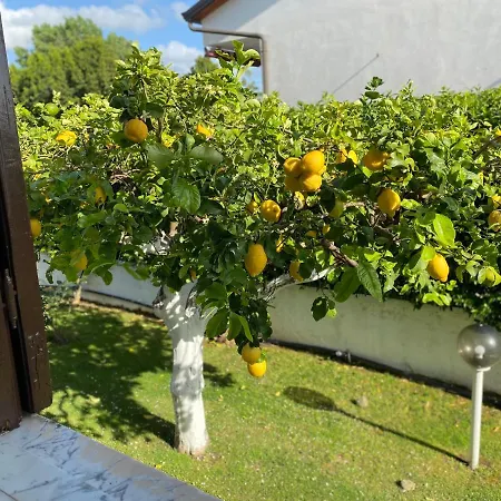 Bed & Breakfast Cecilia